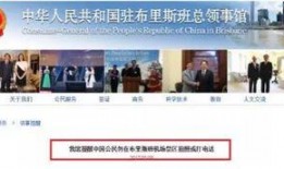 央视新闻电话爆料,聚焦社会热点事件