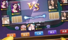 张公子斗地主爆料视频下载,揭秘视频背后的精彩瞬间